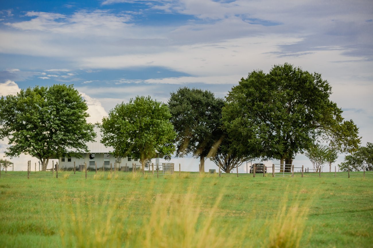 16.-James_Pharaon_Creative-Whitehall_Ranch5D3_6839 16.-James_Pharaon_Creative-Whitehall_Ranch5D3_6839