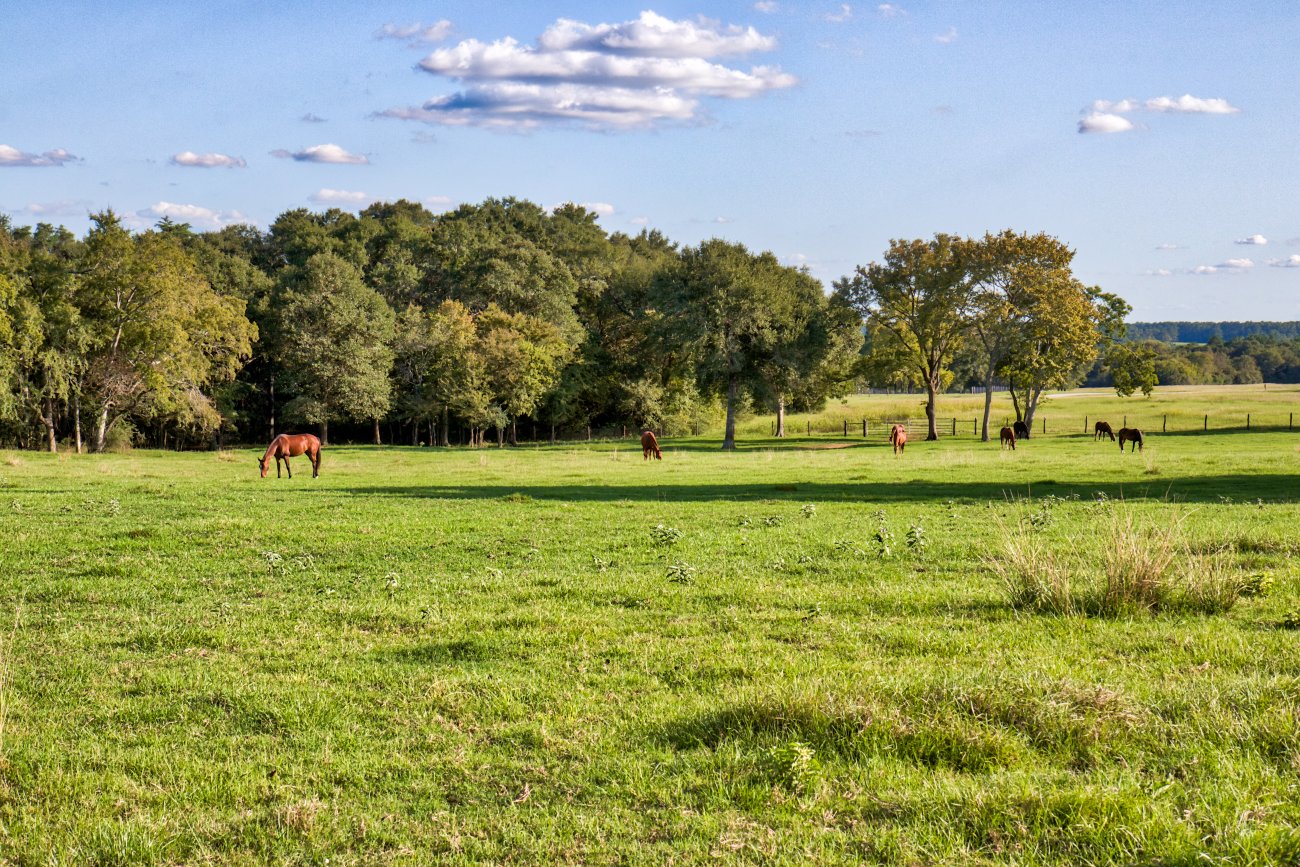 17.-Whitehall_Ranch-352 17.-Whitehall_Ranch-352