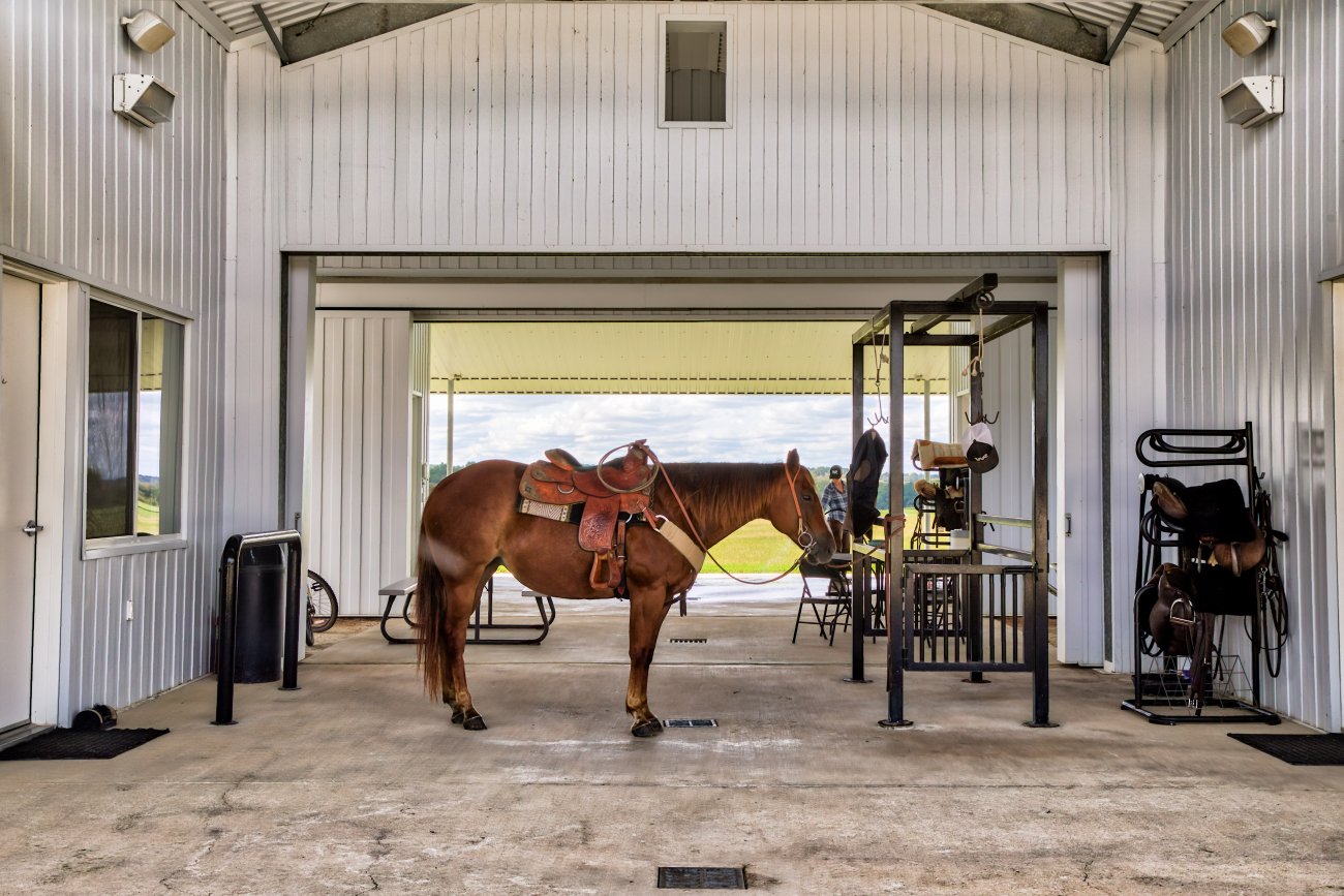 24.-Whitehall_Ranch-148 24.-Whitehall_Ranch-148