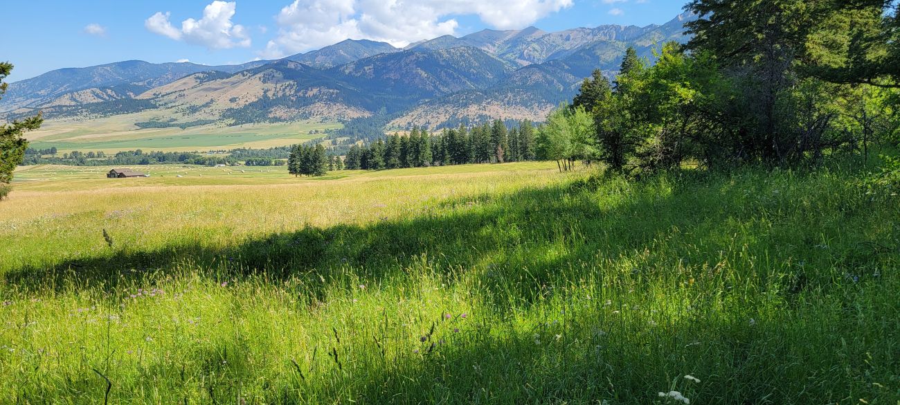 1_grass-view-mountains-montana-windcall-ranch
