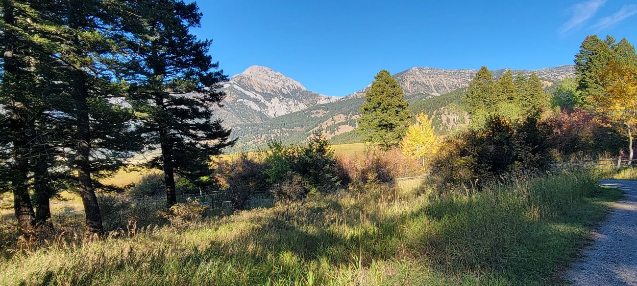 early-autumn-corbly-montana-windcall-ranch