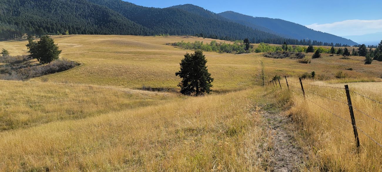 fence-line-grass-montana-windcall-ranch