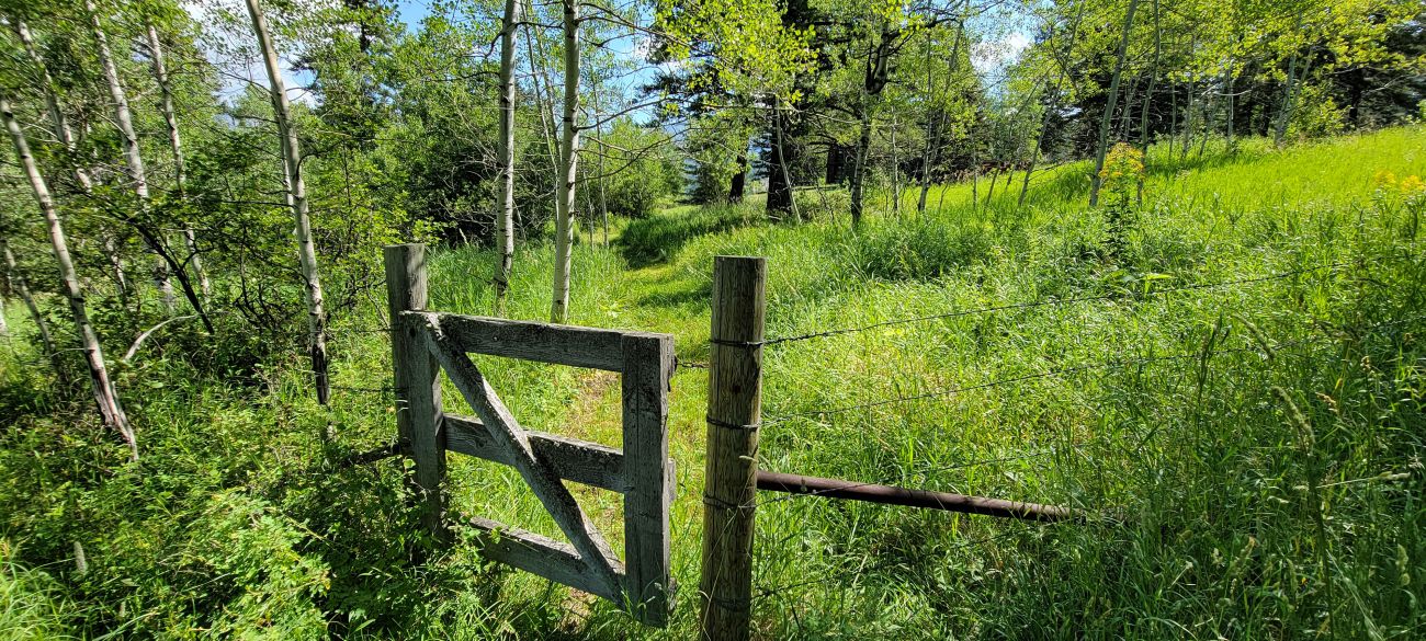 gate-meadow-montana-windcall-ranch