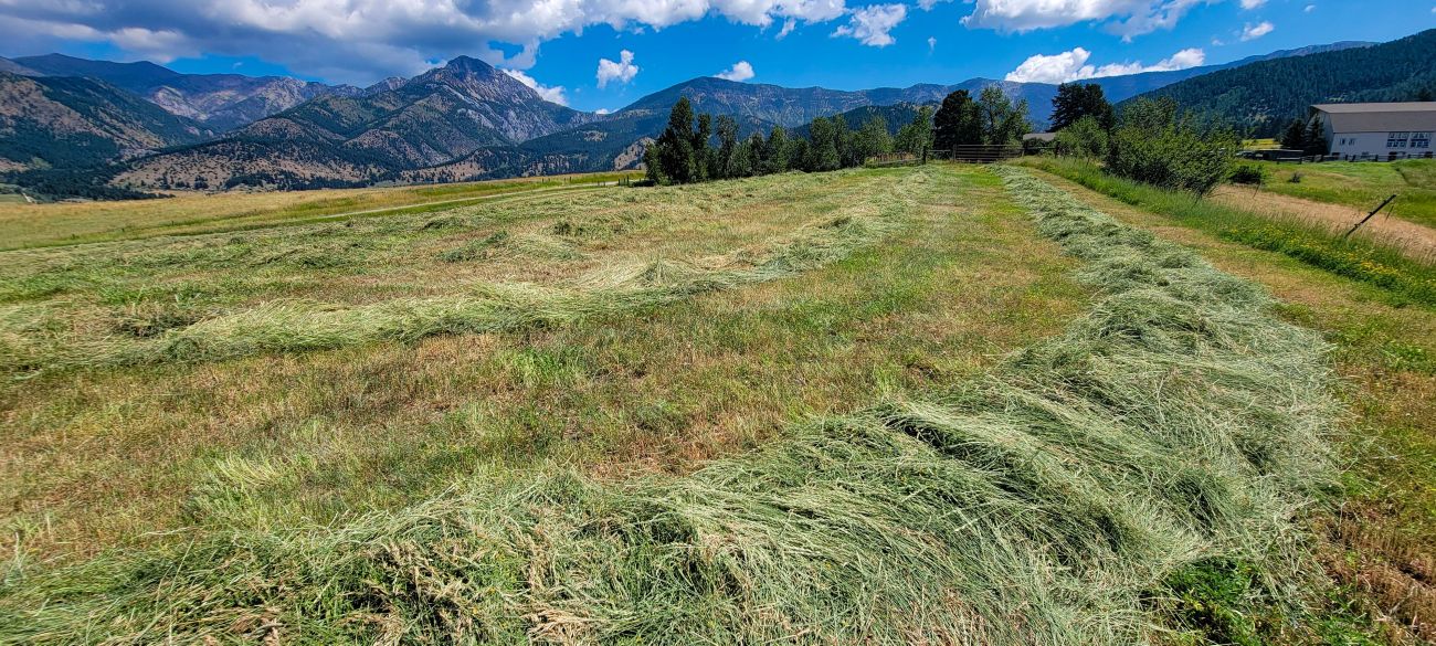 hay-mountain-montana-windcall-ranch