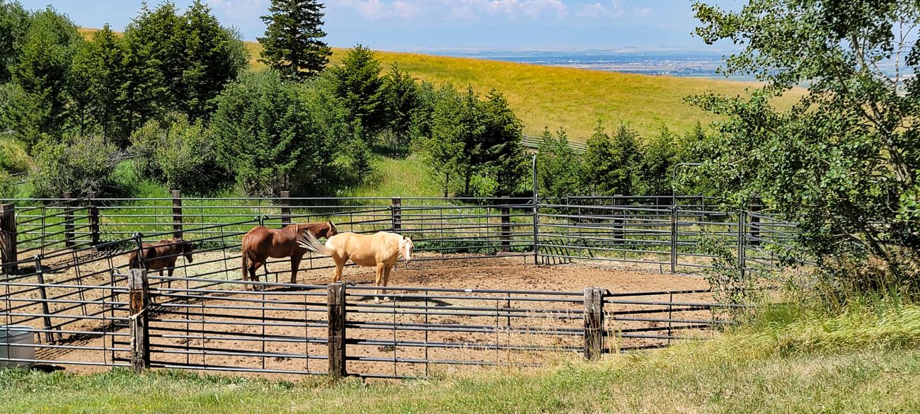 horse-corral-montana-windcall-ranch