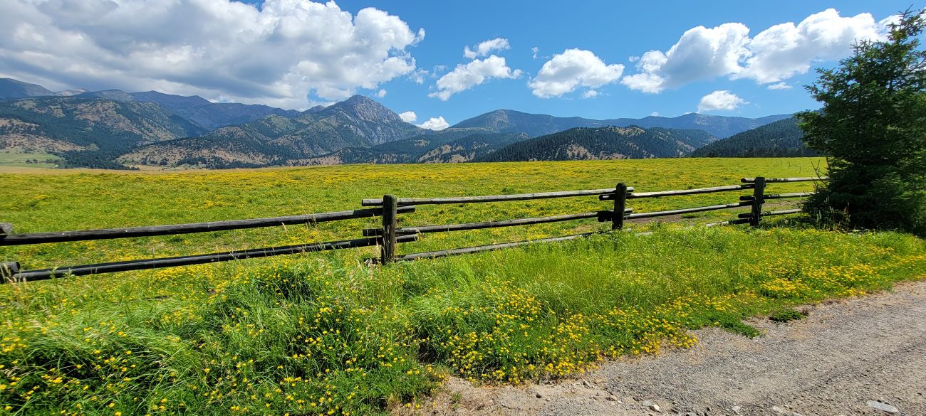 meadow-mountains-blue-sky-montana-windcall-ranch