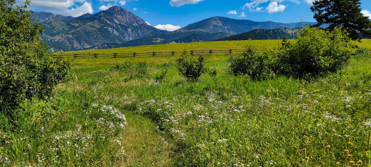 path-meadow-montana-windcall-ranch