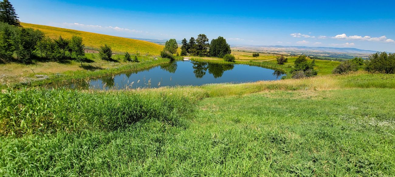 pond-west-view-montana-windcall-ranch