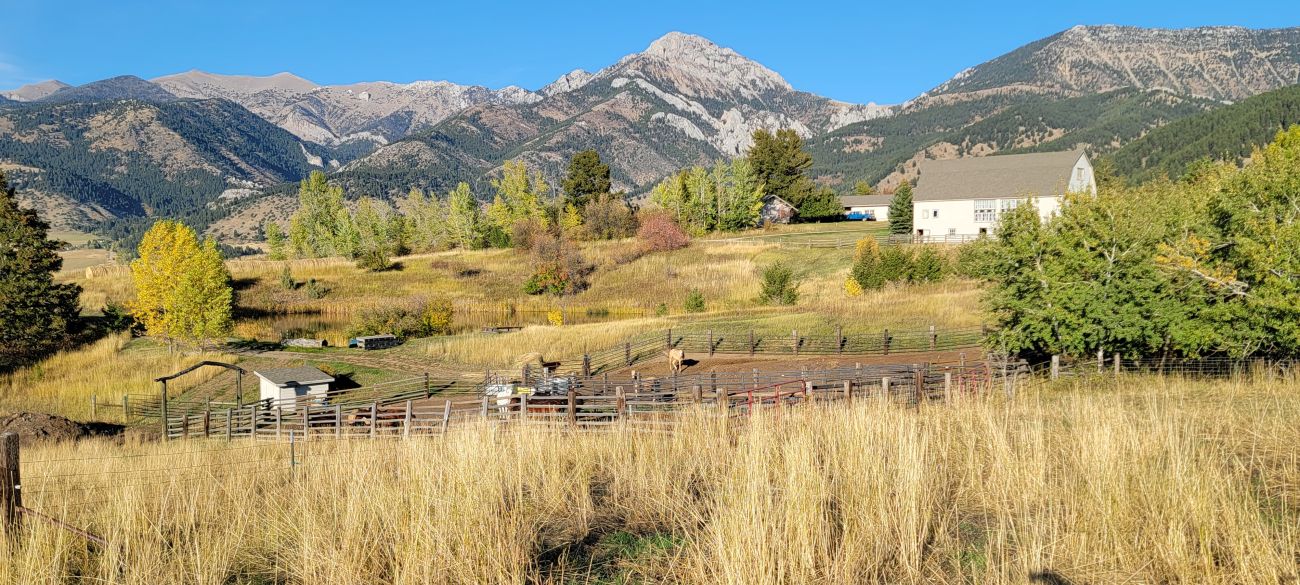 ross-peak-barn-autumn-grass-montana-windcall-ranch