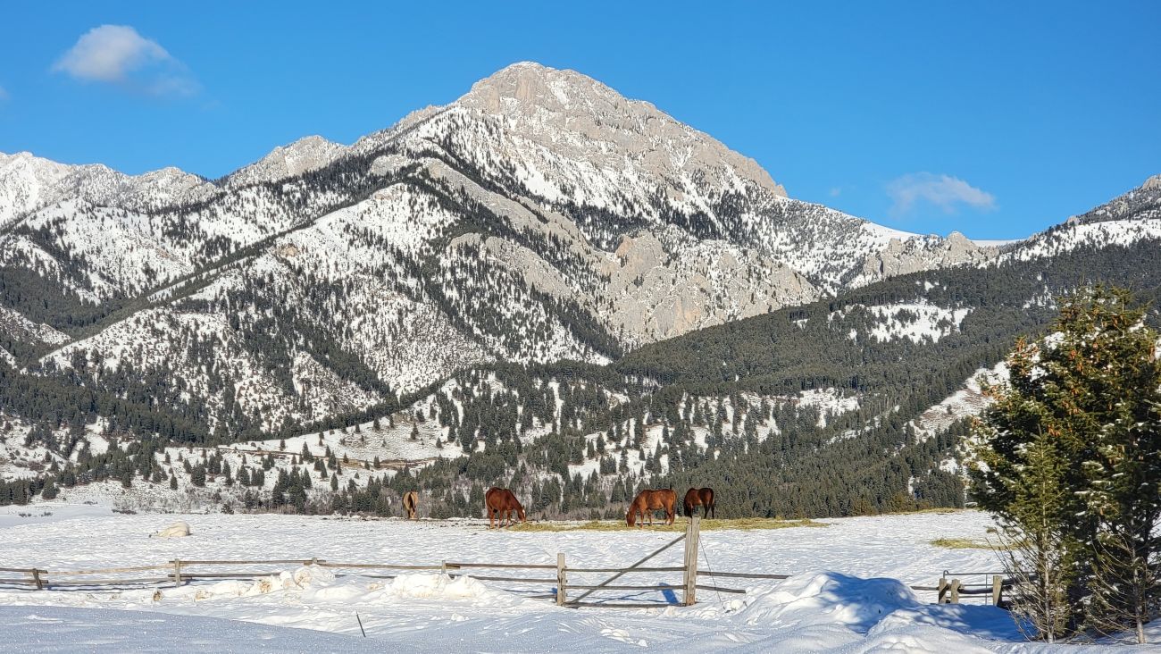 ross-peak-winter-montana-windcall-ranch