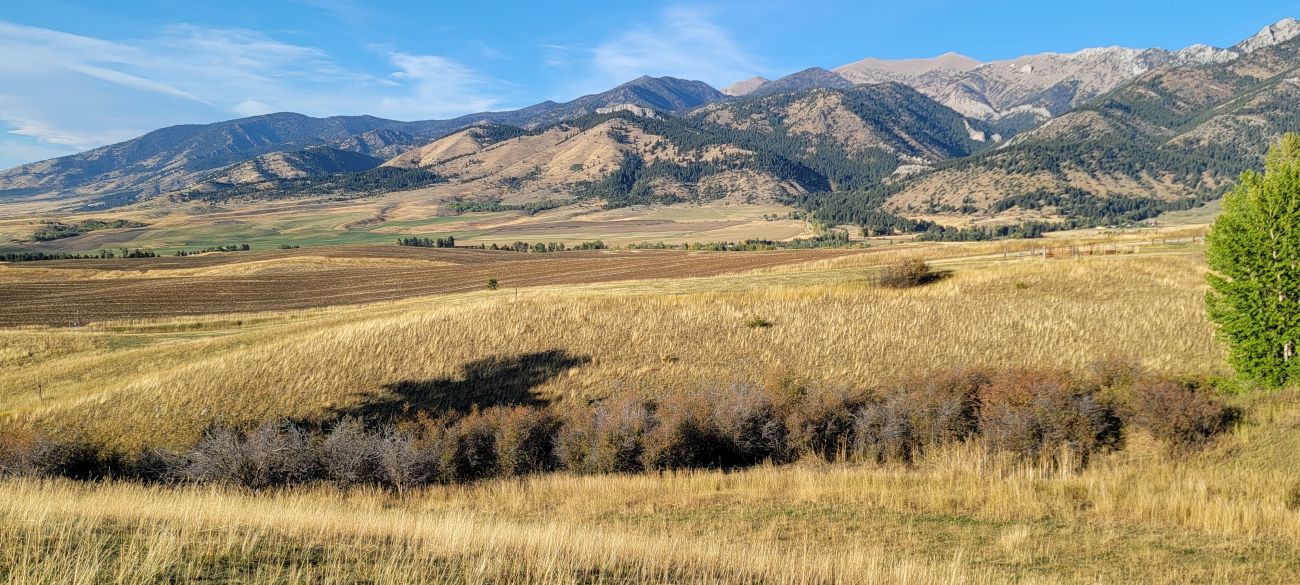 springhill-farming-montana-windcall-ranch