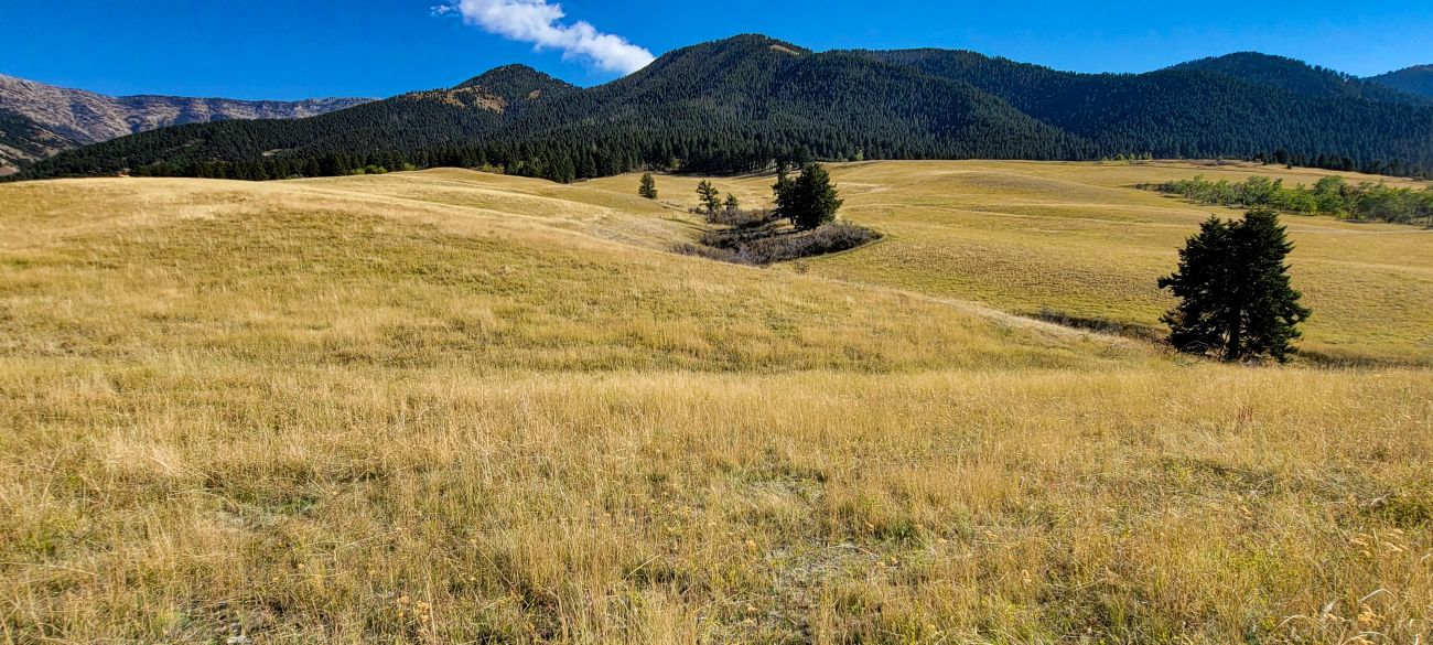 winter-grazing-habitat-montana-windcall-ranch