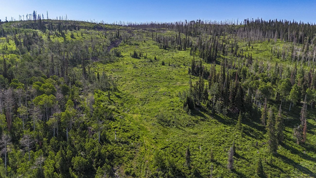 catamount-lake-colorado-yellow-dog-ranch catamount-lake-colorado-yellow-dog-ranch
