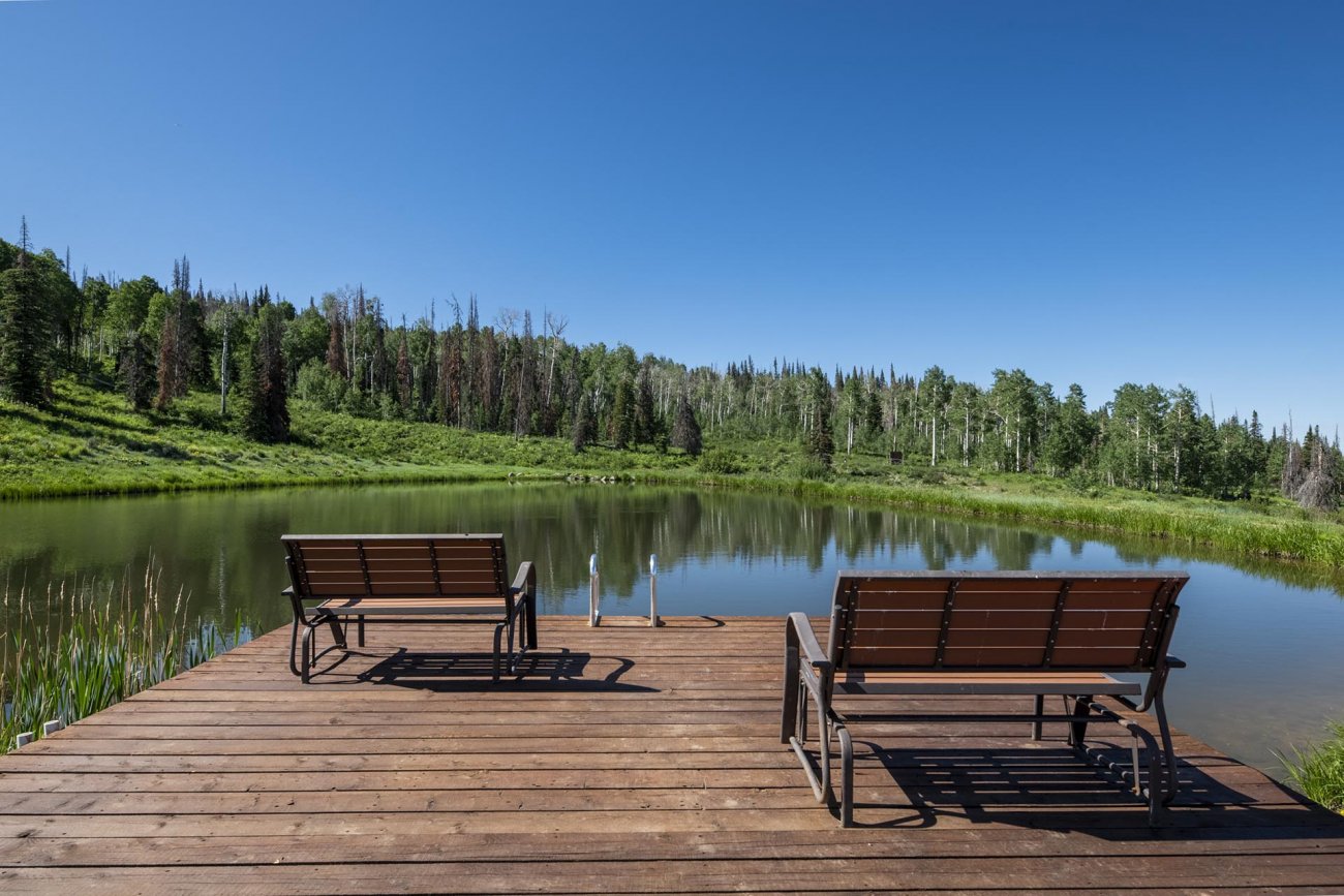 denver-broncos-colorado-yellow-dog-ranch denver-broncos-colorado-yellow-dog-ranch