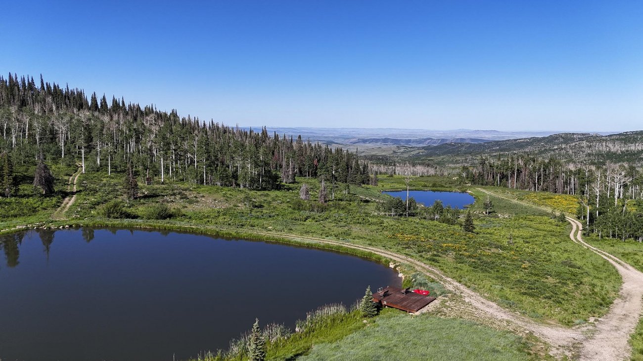 southwest-airlines-colorado-yellow-dog-ranch southwest-airlines-colorado-yellow-dog-ranch