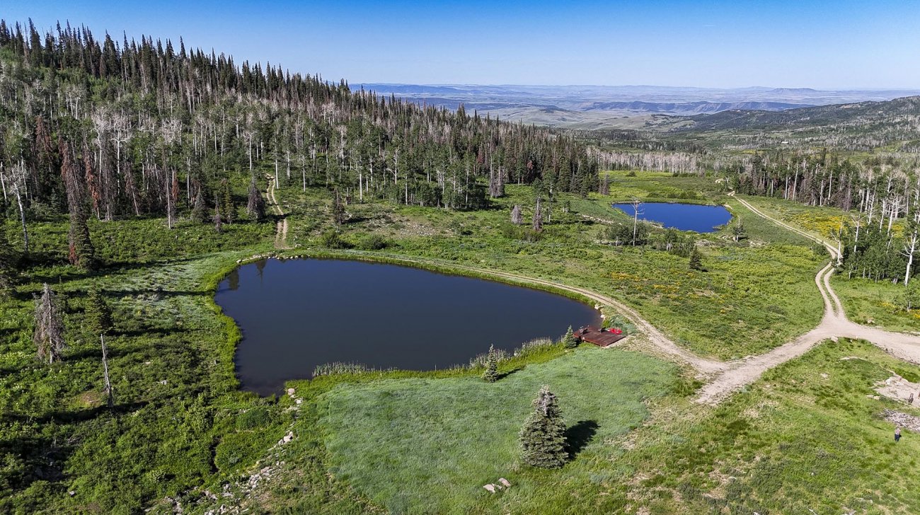 steamboat-resorts-colorado-yellow-dog-ranch steamboat-resorts-colorado-yellow-dog-ranch