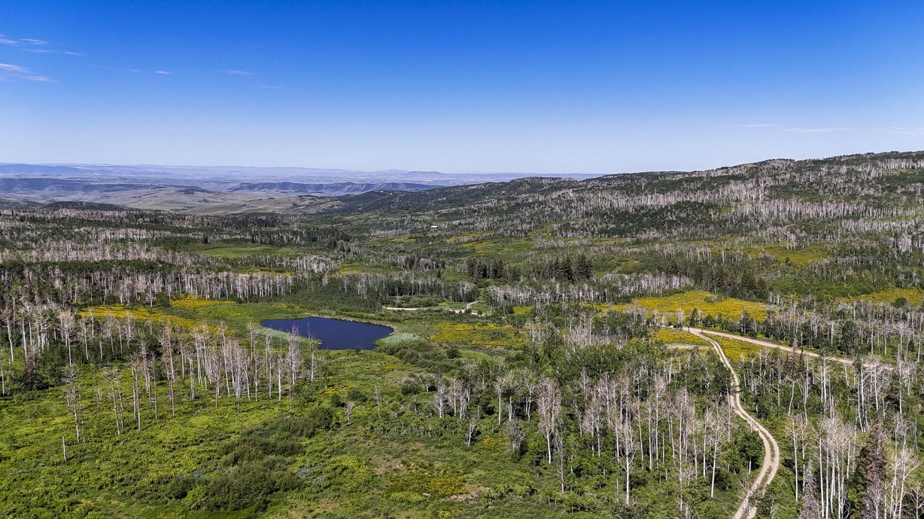 the-amble-colorado-yellow-dog-ranch the-amble-colorado-yellow-dog-ranch
