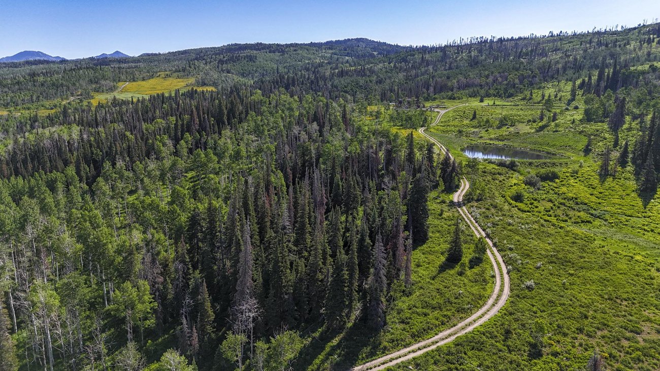 yampa-flyfishing-colorado-yellow-dog-ranch yampa-flyfishing-colorado-yellow-dog-ranch