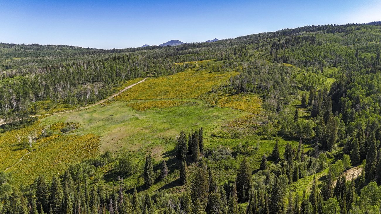 yampa-river-colorado-yellow-dog-ranch yampa-river-colorado-yellow-dog-ranch