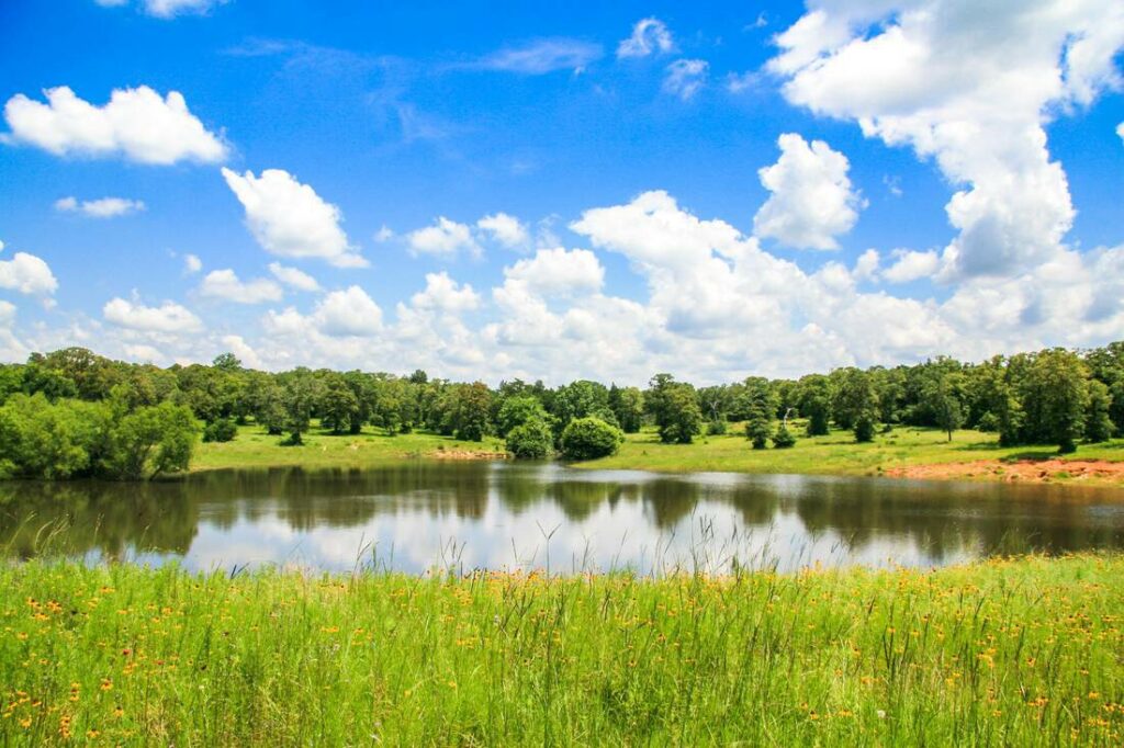 Chertoma Ranch - Lee County Texas Ranch for Sale - Republic Ranches