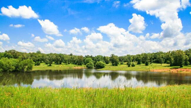 Chertoma Ranch - Lee County Texas Ranch for Sale - Republic Ranches