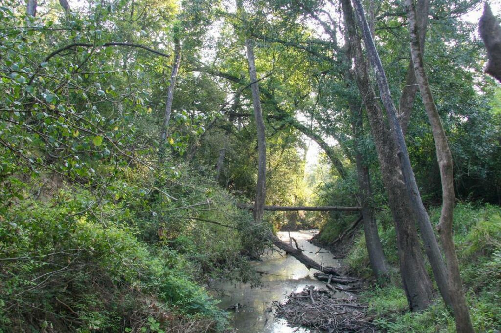 Buckners Creek - Fayette County Ranch for Sale - Republic Ranches