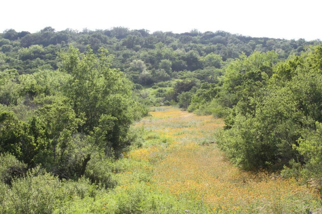 Church Creek Ranch - Colorado County Ranch for Sale - Republic Ranches within one hour of Houston - Broker Associate Tallon Martin -