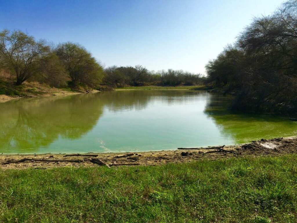 Sam_Shackelford_Austin_Republic_Ranches - 3