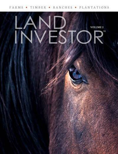 Land Investor volume 2