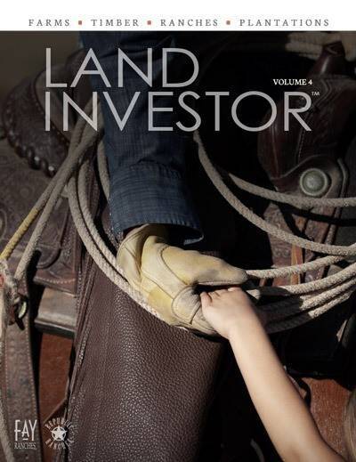 Land Investor volume 4 cover