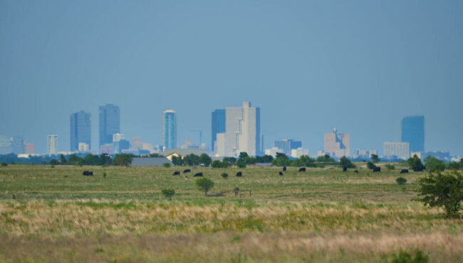 Fort Worth Skyline