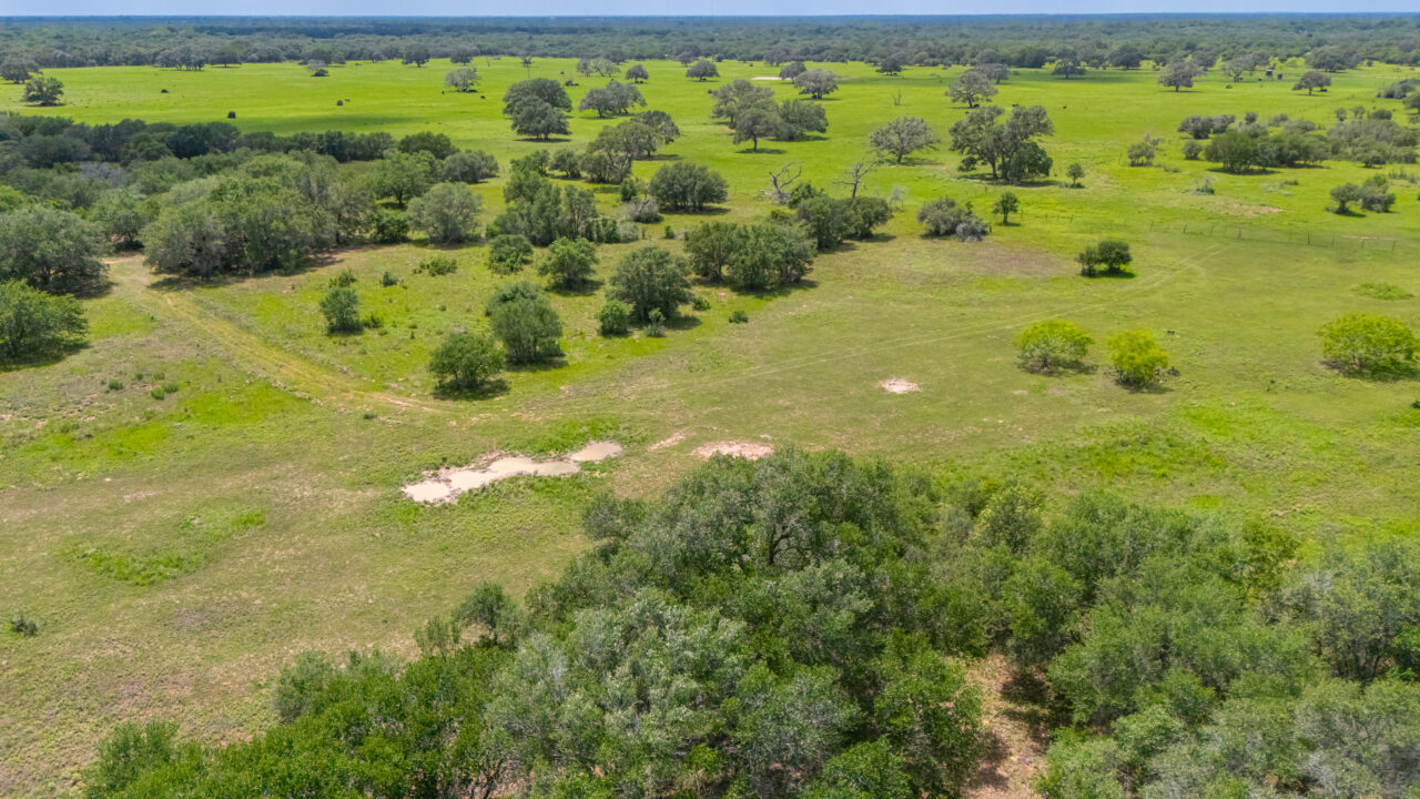 SP Ranch