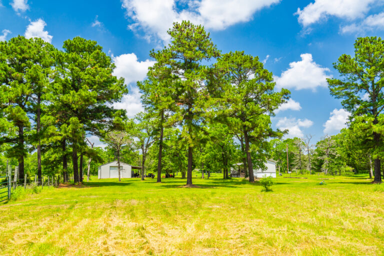Pine Hills Ranch, Bastrop County, Texas