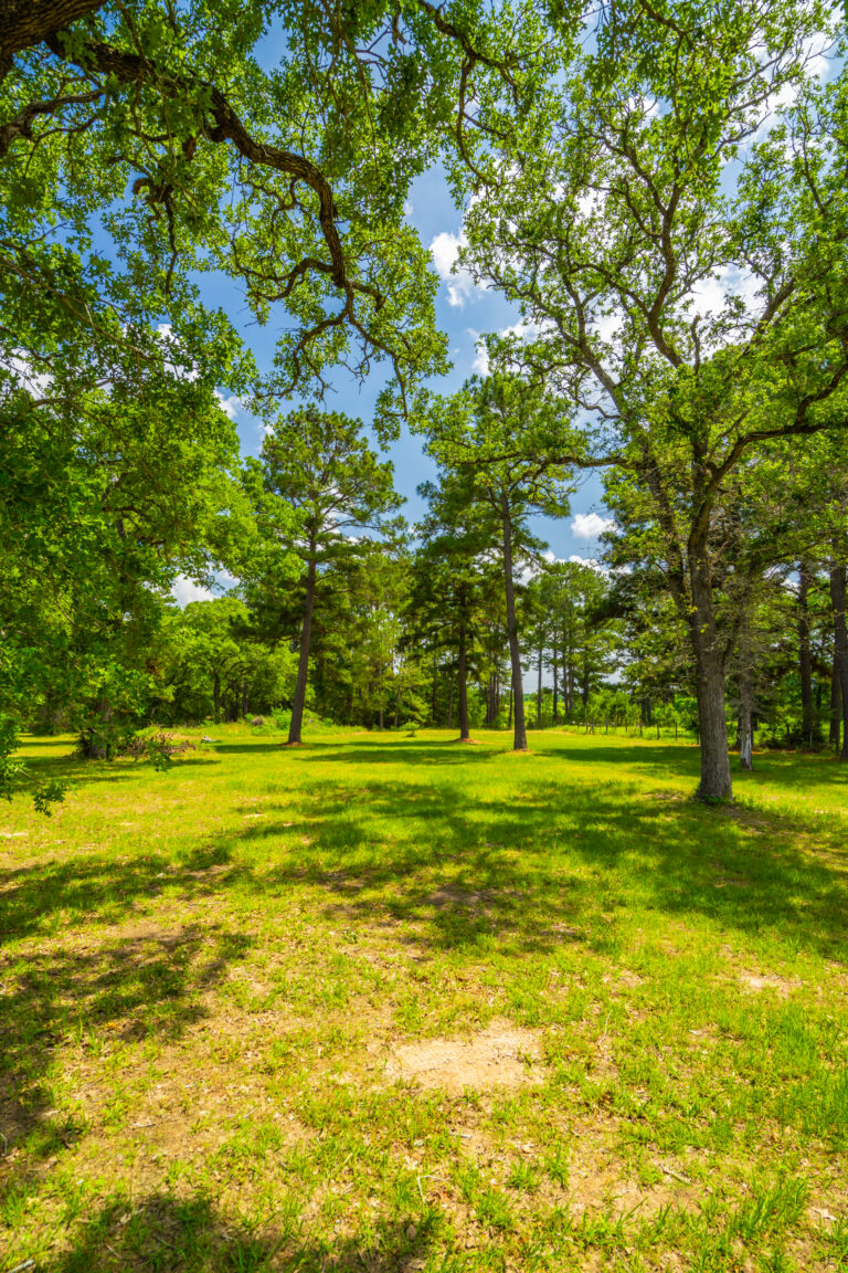 Pine Hills Ranch, Bastrop County, Texas