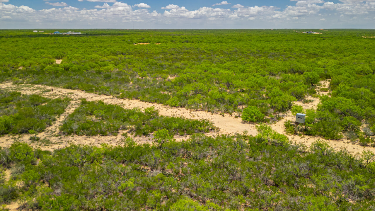 Big Wells Trap Ranch