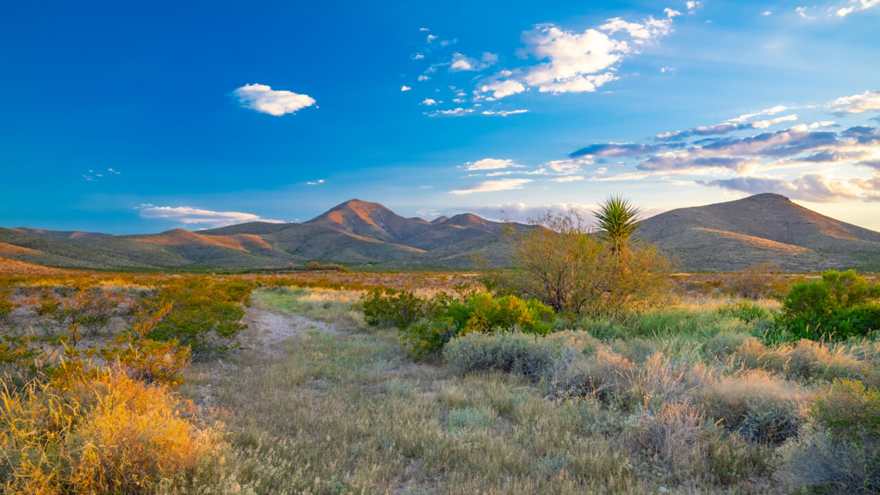 Wylie Mountains Ranch