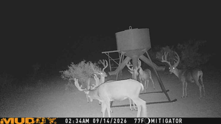Wylie Mountains Ranch, Culberson County, Texas