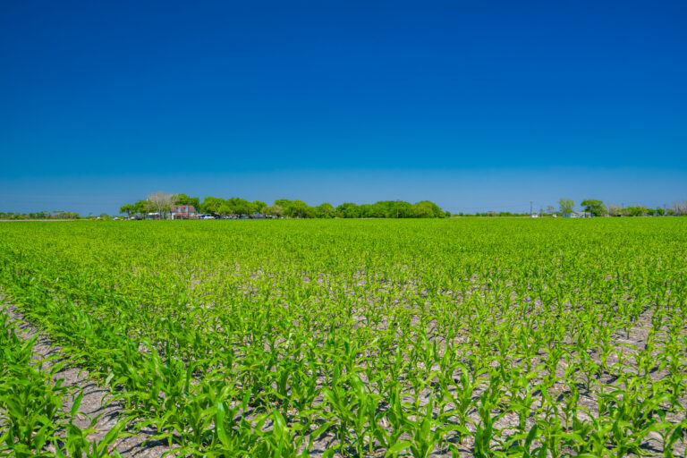 Stutz Farm and Ranch, Calhoun County, Texas