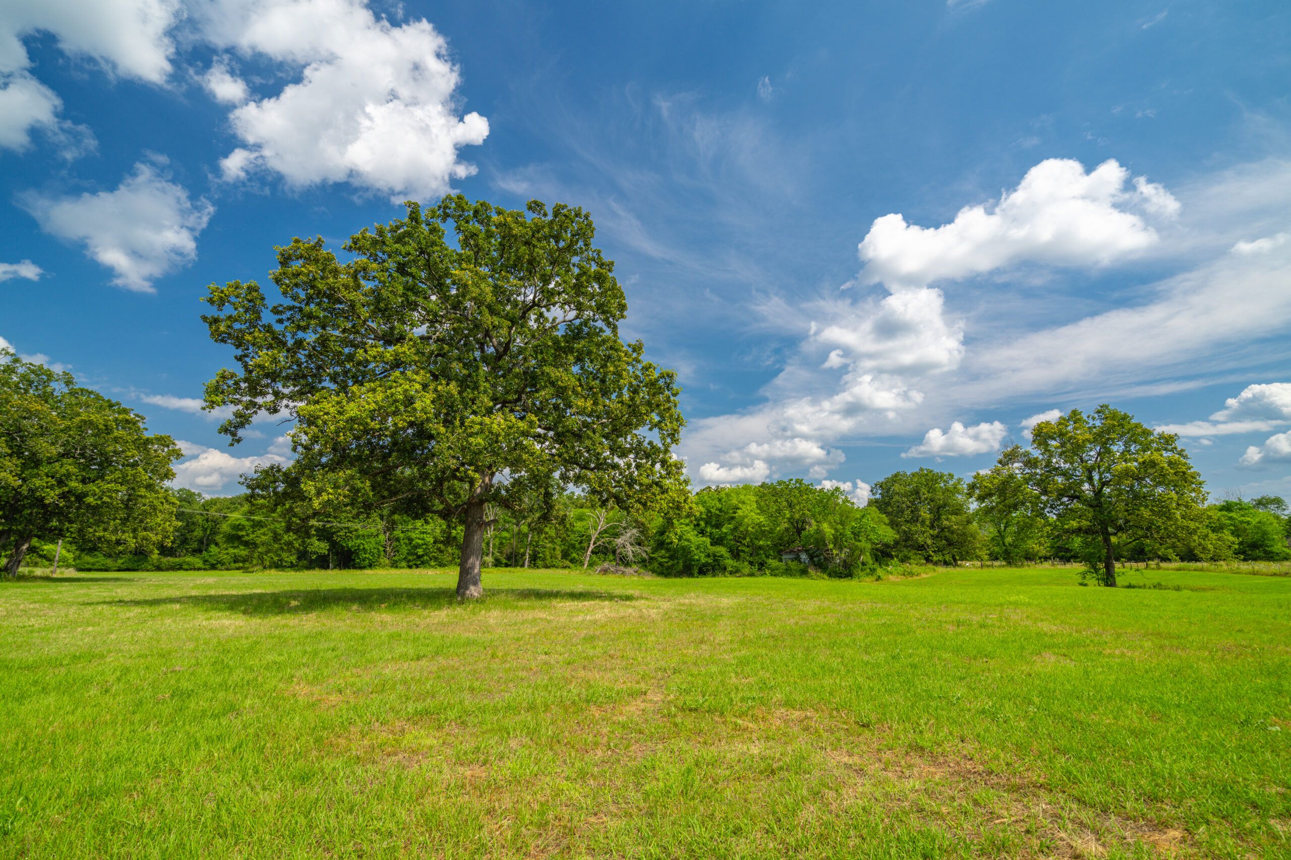 Texas Ranch Field Jenks Ranch - Republic Ranches
