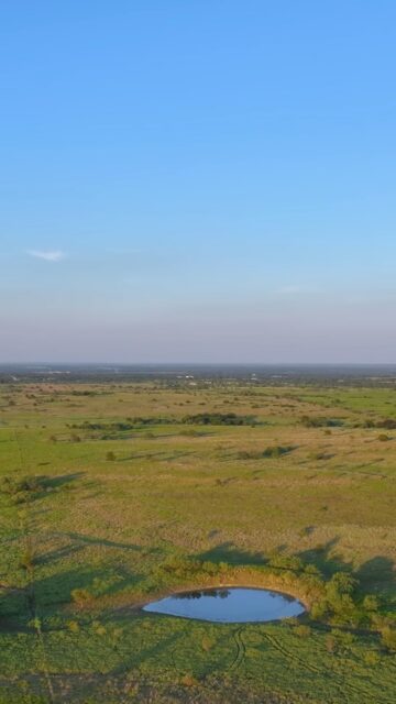 Cotton Willow Ranch is a rare 1,239± acre offering in Bosque County, where rolling elevation changes, crystal-clear live water, native prairie, and towering hardwoods create one of the most scenic landscapes in Central Texas. Just 25 minutes from Waco and within easy reach of Dallas and Austin, the ranch combines exceptional wildlife habitat, strong ranching infrastructure, and the natural beauty to become a true generational legacy property.

Listing Details | republicranches.com/properties/texas/blackland-prairie/cotton-willow-ranch

#WaterProperty #TexasRanches #RanchRealEstate
