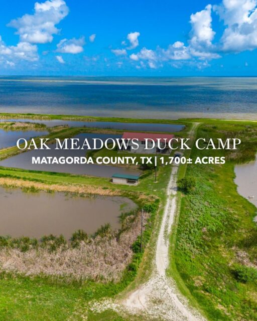 Oak Meadows Duck Camp | 1,700± Acres in Matagorda County, TX

Oak Meadows Duck Camp is a premier 1,700± acre coastal sporting property near Palacios, Texas, offering world-class waterfowl hunting in one of the Gulf Coast’s most renowned wintering areas. Featuring 447± acres of managed wetlands, over a mile of bay frontage, outstanding fishing, upland bird hunting, and a stunning beachfront lodge overlooking Matagorda Bay, this ranch delivers an unmatched outdoor lifestyle.

Listing Details | republicranches.com/properties/texas/coastal-prairie/oak-meadows-duck-camp

#DuckHunting #WaterfowlTexas #TexasRanch