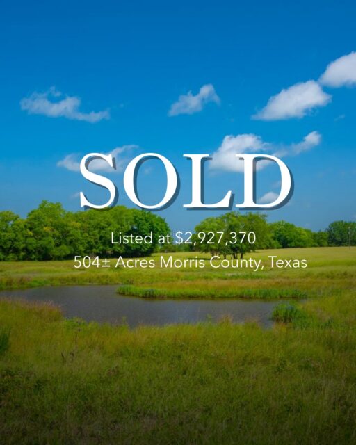 SOLD | Sheriff Cattle Ranch

Spanning 504± acres near Omaha, this exceptional working cattle ranch featured rolling improved pastures, 11 ponds, beautiful hardwoods, and the infrastructure to support a thriving cattle operation while offering outstanding recreational appeal. 

View Our Available Listings | republicranches.com

#Sold #RepublicRanches #TexasLand #WorkingRanch #CattleRanch #NortheastTexas