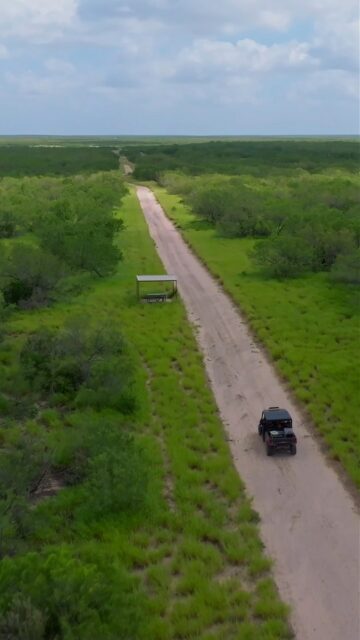 Randado Ranch- a lot of rain, a lot of quail! 

For the first time in generations, the historic Randado Ranch is being offered for sale after 95 years of family ownership, representing one of South Texas’ premier legacy ranches. Renowned for its groundbreaking role in modern deer management, exceptional water resources, and world-class cattle, whitetail, quail, and dove hunting, this remarkable property stands among the finest sporting ranches in the region.

Listing Details | republicranches.com/properties/texas/south-texas/randado-ranch

#RandadoRanch #QuailCalling #SouthTexasQuail