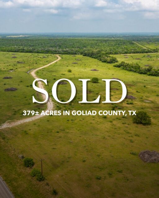 SOLD | Hord Creek Ranch

A remarkable 379± acre South Texas ranch in Goliad County, Hord Creek Ranch offered a rare combination of recreation, agriculture, and wildlife habitat, with rolling topography, mature live oaks, Hord Creek bottomlands, and abundant native brush.

View Available Listings | republicranches.com

#TexasRanch #LegacyRanch #RealEstate
