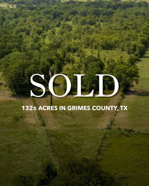 SOLD | Honey Locust Ranch

A 132± acre ranch in Grimes County, Honey Locust Ranch offered a beautiful mix of wooded creek bottoms, gently rolling pasture, scattered oaks, and abundant wildlife. With convenient access to College Station, Huntsville, and Houston, this versatile property was an exceptional country retreat.

republicranches.com
