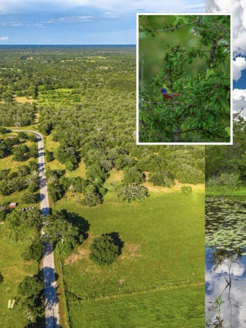 Sandy Oaks Ranch | Lavaca County, TX | 219.5± Acres

Sandy Oaks Ranch offers 219± acres of heavily wooded terrain, nearly a mile of Sandy Branch frontage, ponds, trails, and abundant wildlife habitat just 0.4 miles from Highway 90. With paved road frontage on three sides and convenient access to nearby towns and major cities, the property offers a rare combination of privacy, recreation, and accessibility.

Listing Details | republicranches.com/properties/texas/coastal-prairie/sandy-oaks-ranch

#TexasRanch #RealEstate