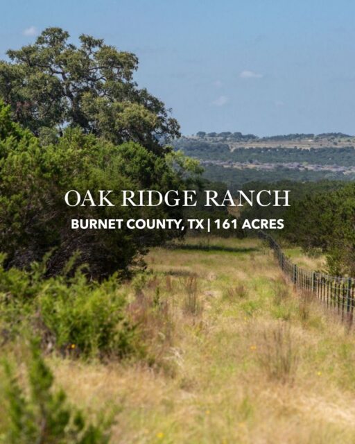 Oak Ridge Ranch offers classic Hill Country beauty with towering live oaks, long-range views, and a wet-weather creek framed by clear limestone-bottom pools. Just 45 minutes from Cedar Park, this private retreat combines natural beauty and convenient access, with plenty of potential for recreation or a future homesite.

Listing Details | republicranches.com/properties/texas/hill-country/oak-ridge-ranch

#TexasRanches #RanchRealEstate #HillCountry