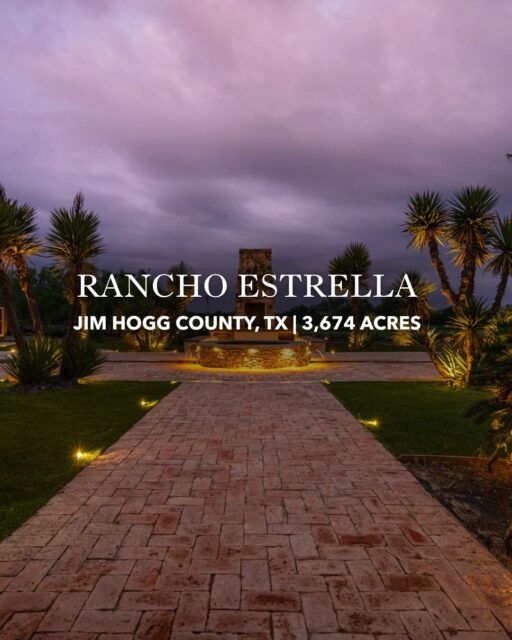 Rancho Estrella brings together the best of South Texas with exceptional native brush, prime quail habitat, abundant water, and outstanding game. Anchored by a top-tier hacienda-style compound with commercial accommodations, this is a premier combination ranch built for hunting, entertaining, and enjoying the South Texas outdoors.

Listing Details | republicranches.com/properties/texas/south-texas/rancho-estrella