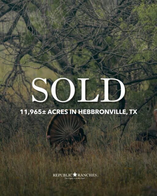 SOLD | Crestonio Ranch

Another South Texas legacy property has found its next owner. Crestonio Ranch - an exceptional 11,965±-acre ranch near Hebbronville, known for world-class quail hunting, a meticulously managed whitetail program, refined improvements, and a first-class cattle operation - is officially SOLD.

View our available listings | republicranches.com/properties

#RepublicRanches #Sold #CrestonioRanch #SouthTexas #TexasRanches #RanchRealEstate