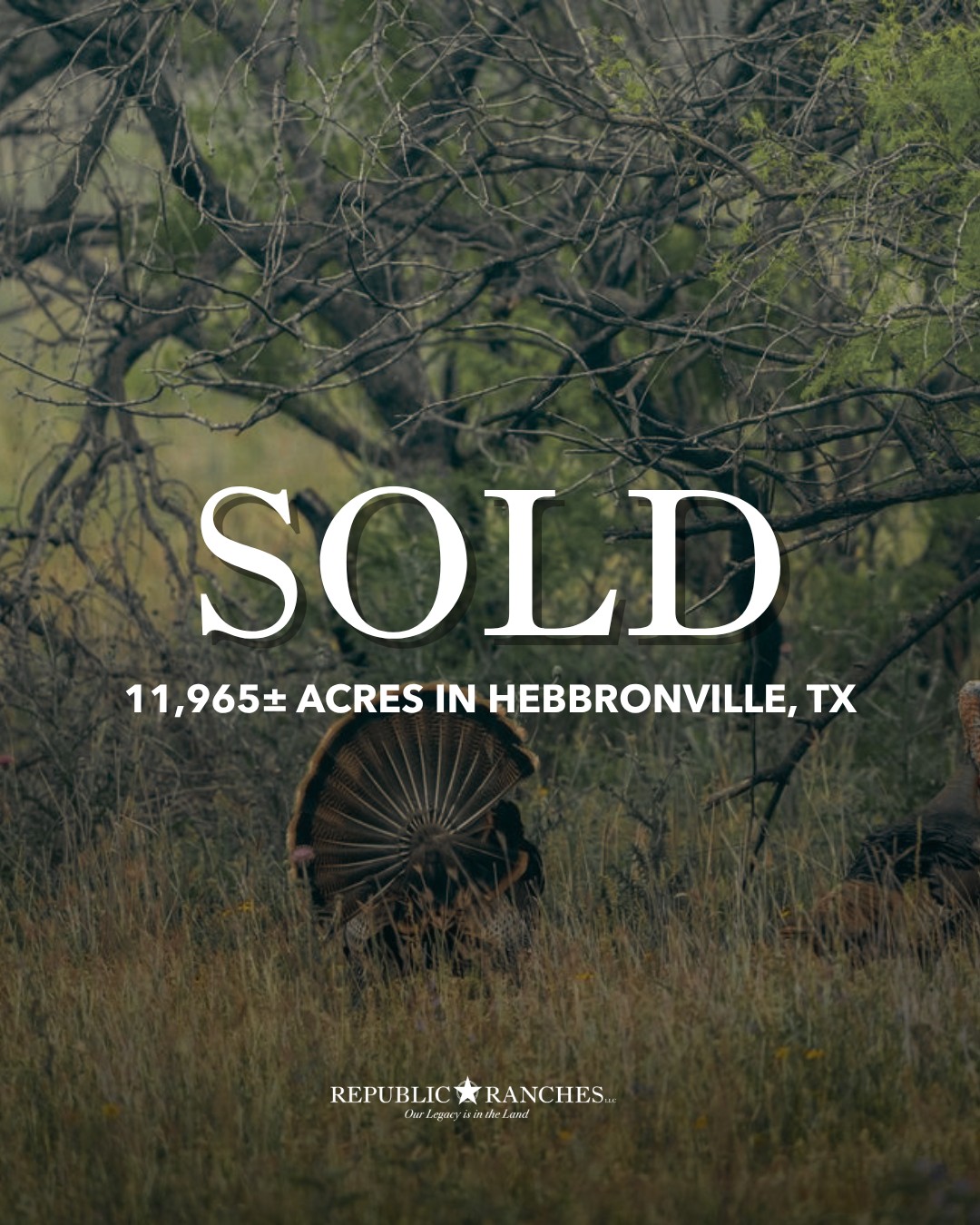 SOLD | Crestonio Ranch

Another South Texas legacy property has found its next owner. Crestonio Ranch - an exceptional 11,965±-acre ranch near Hebbronville, known for world-class quail hunting, a meticulously managed whitetail program, refined improvements, and a first-class cattle operation - is officially SOLD.

View our available listings | republicranches.com/properties

#RepublicRanches #Sold #CrestonioRanch #SouthTexas #TexasRanches #RanchRealEstate